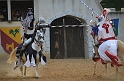 SFaire_2013 (557)